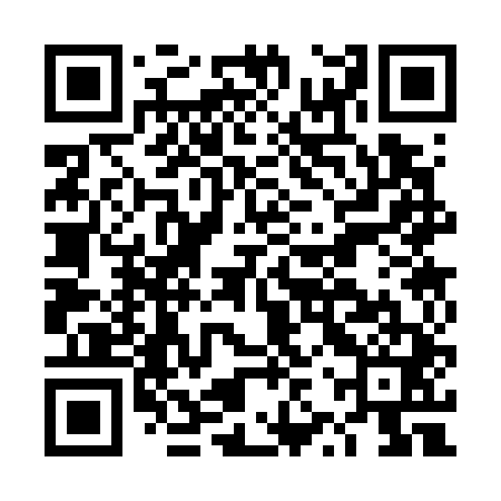 QR code for DZS741