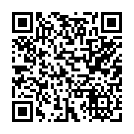 QR code for DZT206