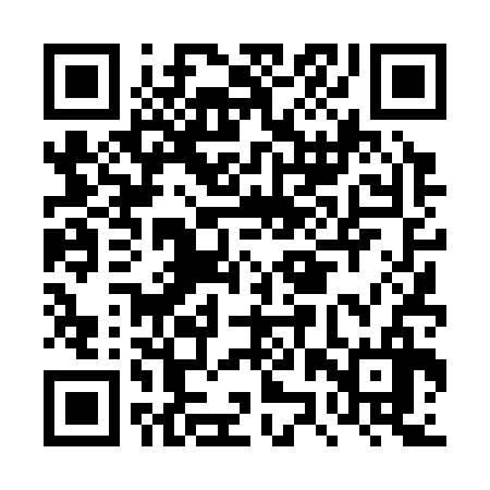 QR code for DZT336