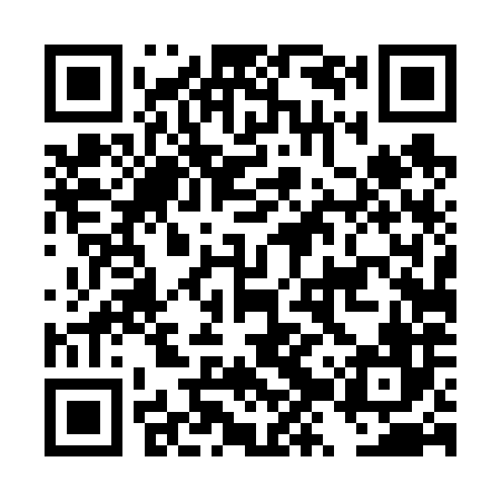 QR code for DZT686