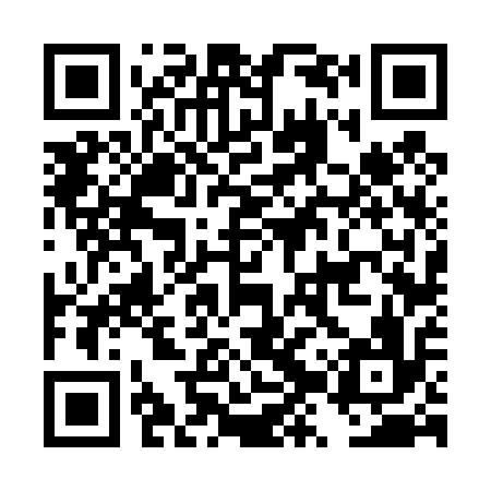 QR code for DZV416