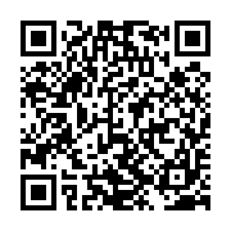 QR code for DZW597