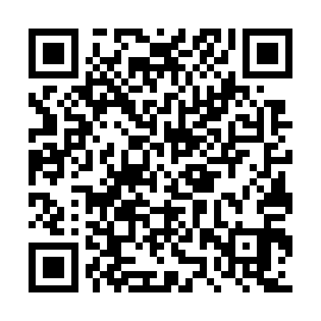 QR code for DZW711