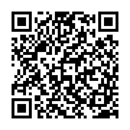 QR code for DZY743