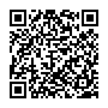 QR code for EFO494