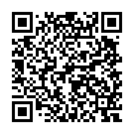 QR code for EIG493