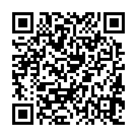 QR code for ELE395