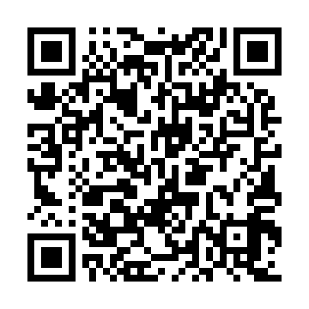 QR code for ELE919
