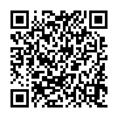 QR code for ELL294
