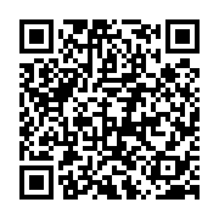 QR code for EUF538