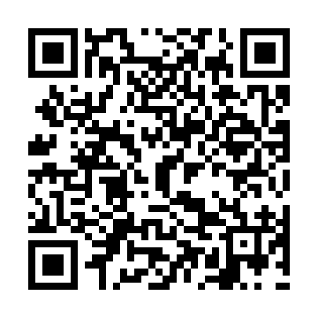QR code for FEI396