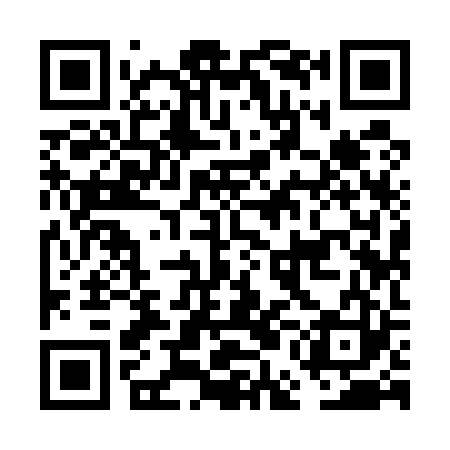 QR code for FEI523
