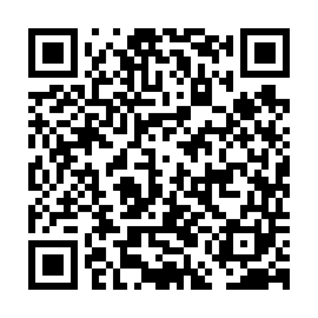 QR code for FEI641