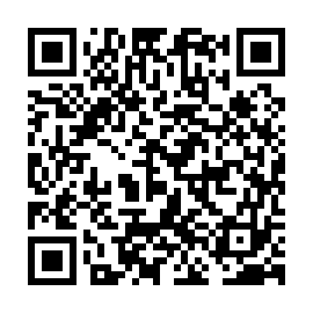 QR code for FFI173
