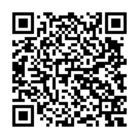 QR code for FFT433