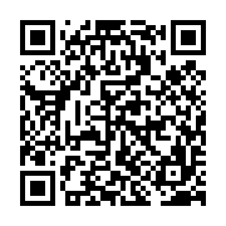 QR code for FIE496
