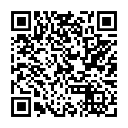 QR code for FIF691