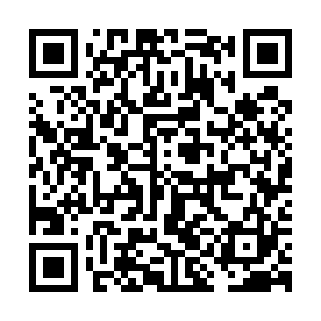 QR code for FIG523
