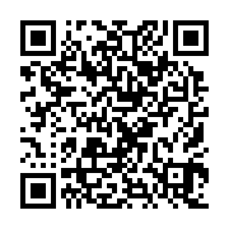 QR code for FII301