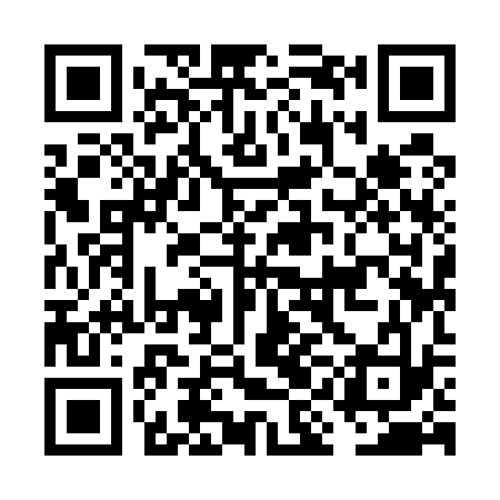 QR code for FII533
