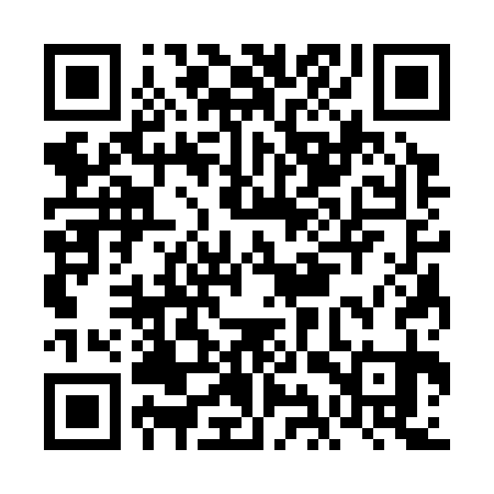 QR code for FIS331