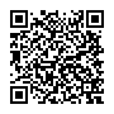 QR code for FIU519