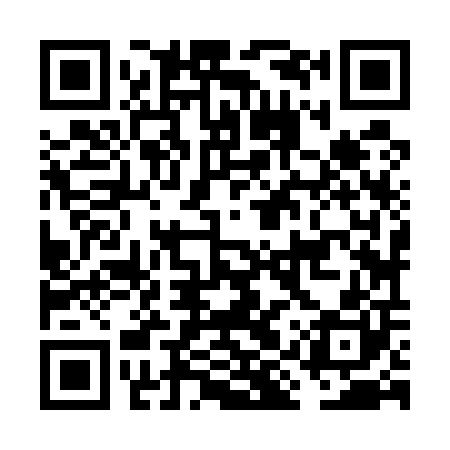 QR code for FIZ500
