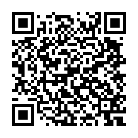 QR code for FJO413