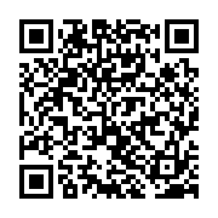 QR code for FLO333