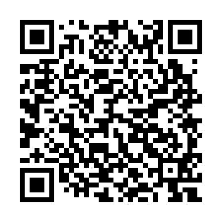 QR code for FLO391
