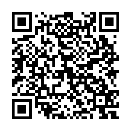 QR code for FLY337