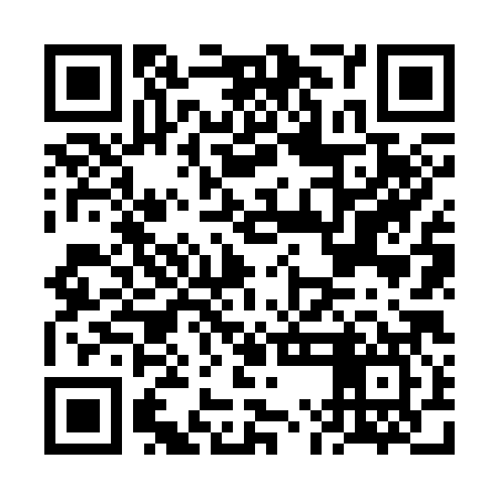 QR code for FMN387