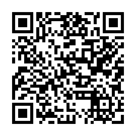 QR code for FMO384