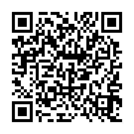 QR code for FPD313