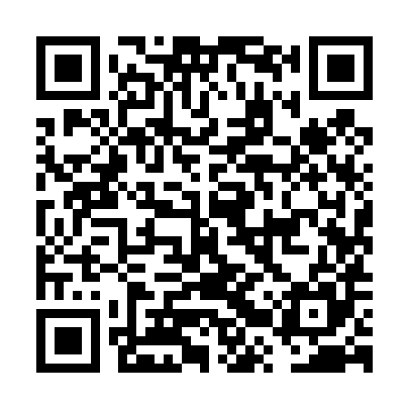 QR code for FRY485