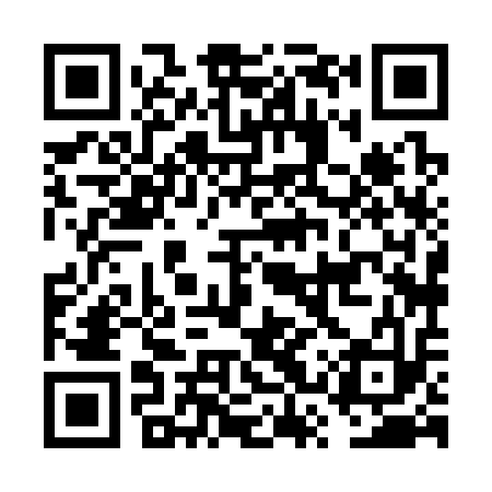 QR code for FSX313