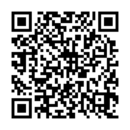 QR code for FTV333