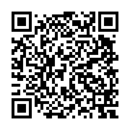 QR code for FYS499