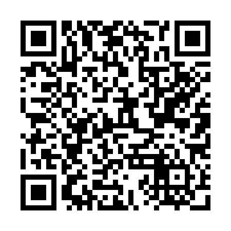 QR code for FZD384