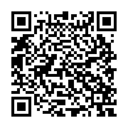 QR code for FZH307