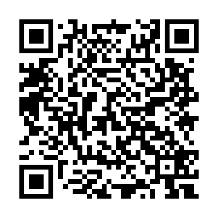 QR code for FZI529