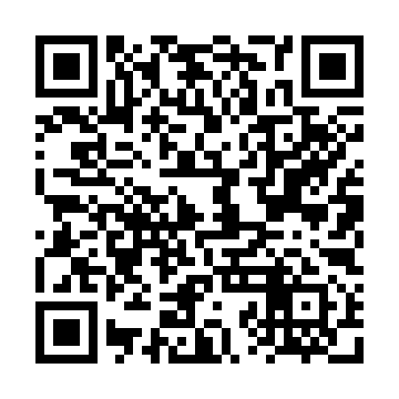 QR code for FZL391