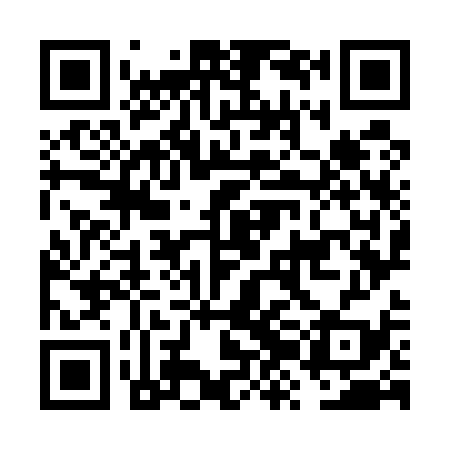 QR code for FZO539