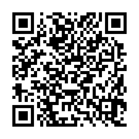 QR code for FZQ384