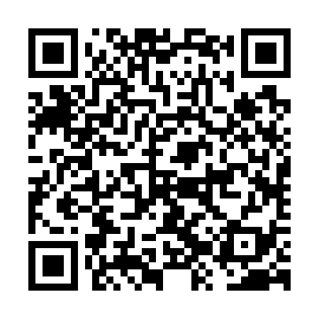 QR code for FZR739