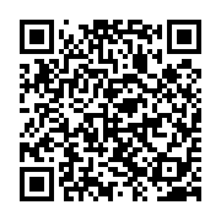 QR code for FZS519