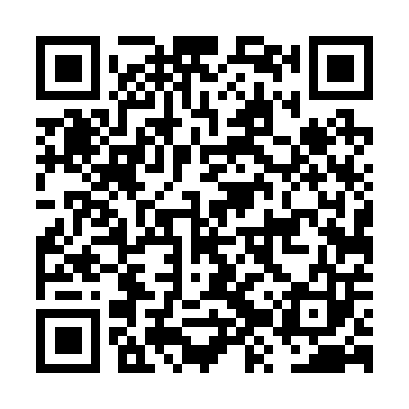 QR code for FZT203