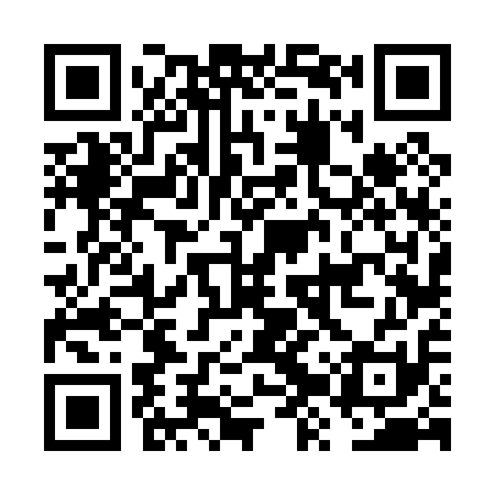 QR code for FZV011
