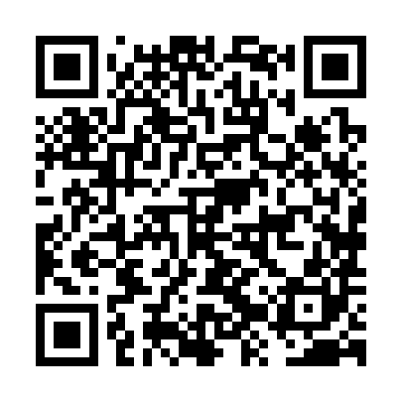 QR code for FZX380