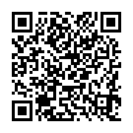 QR code for FZX991